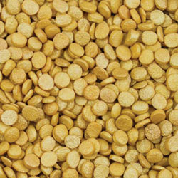 Gold Pearl Quins - 4 oz.