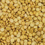Gold Pearl Quins - 1 Lb.