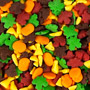 Fall Quin Mix - 4.8 lbs
