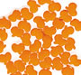 Pumpkin-Quins - 5 Lbs.