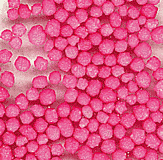 Non-Pareils - Pink - 8 lbs.