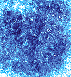 Edible Glitter - Blue - 1 oz.