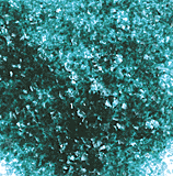 Edible Glitter - Emerald - 1 oz.