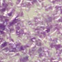 Edible Glitter - Lavender - 1 oz.