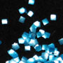 Edible Glitter Squares - Blue - 8.7 Grams