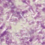 Edible Glitter - Lavender - 4 oz. (Lge)