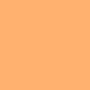 Americolor Airbrush - Copper/Fleshtone - 9 oz.