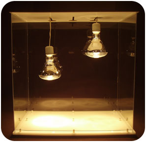 Sugar Shack- Standard Plexiglas