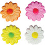 Daisies - Asst Colors