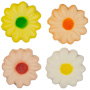 Daisies - Asst Colors