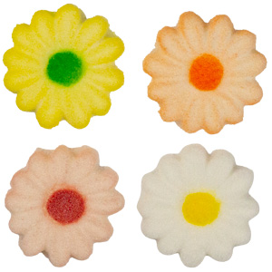 Daisies - Asst Colors