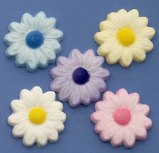 Daisies - Asst. Colors