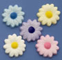 Daisies - Asst. Colors