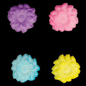 Dahlia - Asst Colors