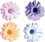 Dahlia - Asst Colors