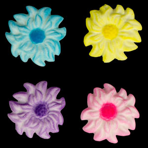 Dahlia - Asst Colors