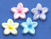 Button Flower