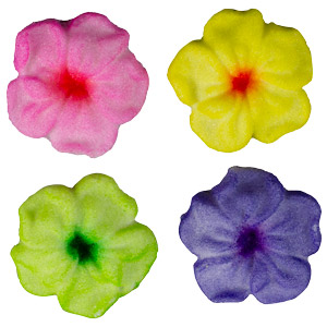 Blossom - Asst Colors