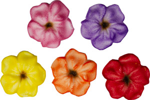 Autumn Blossoms - Sugar - Asst Colors
