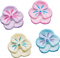 Violets - Asst Colors
