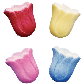 Tulips - Ass't - Medium