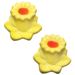 Daffodils - Large