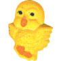 Happy Chick Pop-Ons