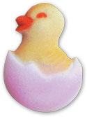 Easter Chick In Shell Pop-Ons