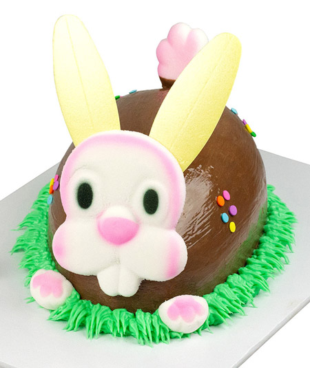 Bunny Cake Set W/Ears