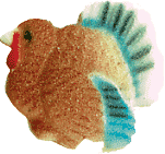 Fancy Turkey