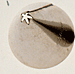 Standard Closed Star Tube # 23 - Dozen Pack