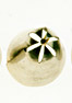 Special Drop Flower # 171