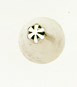 Star & Rosette Tube #232