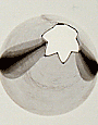 Large Star Tube # 3 - Dozen Pack