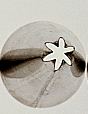 Lg Closed Star Tube # 2 - Dozen Pack