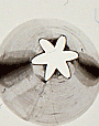 Lg Closed Star Tube # 4