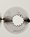 Large French Tube #4B - Dozen Pack