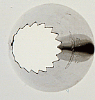 Large French Tube #9B