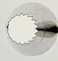 Large French Tube #9B