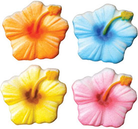 Hibiscus Assorted Sugars- 4 Colors