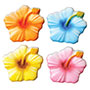 Hibiscus Assorted Sugars- 4 Colors