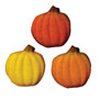 Shimmer Pumpkin Sugars - Assorted